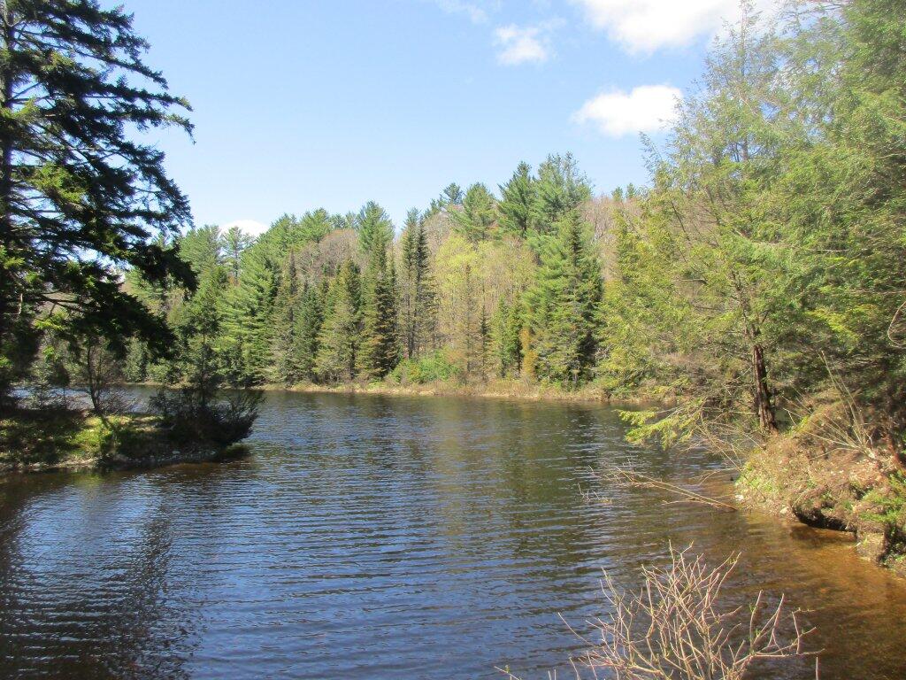 Photo: Glassgow Pond Photo: Glassgow Pond