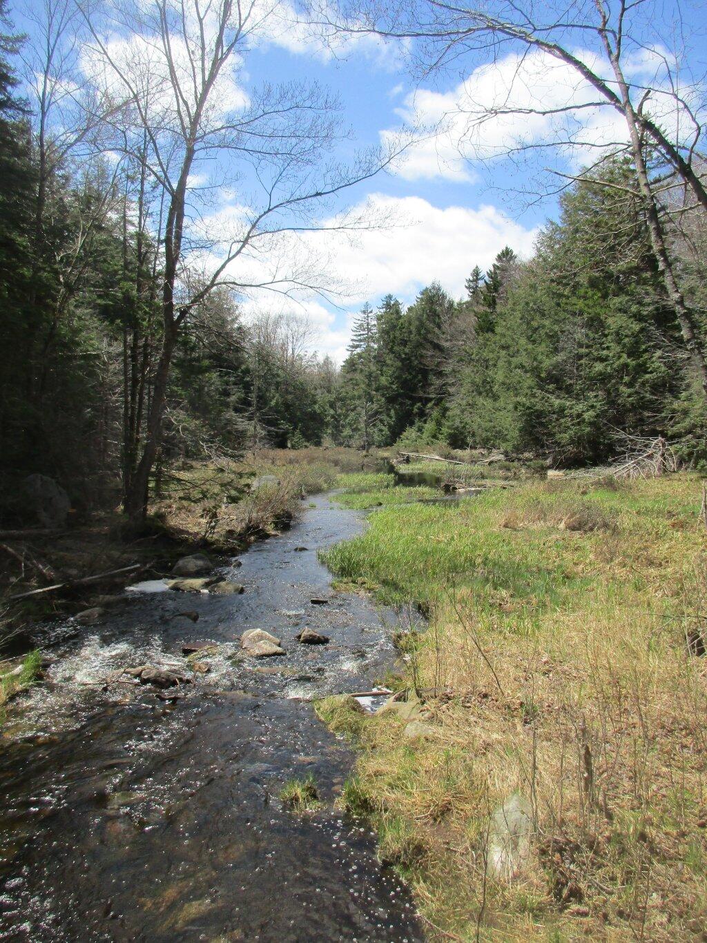Photo: Outflow