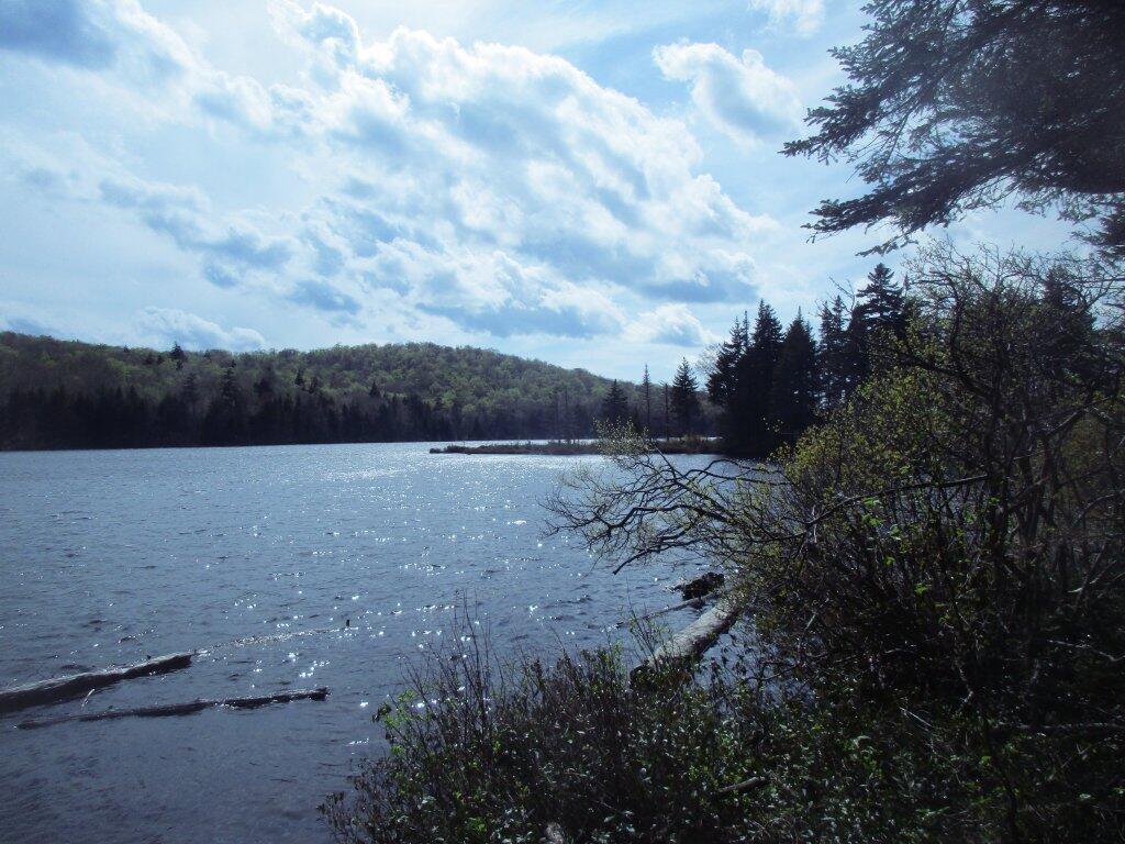 Photo: Stratton Pond Looking East
