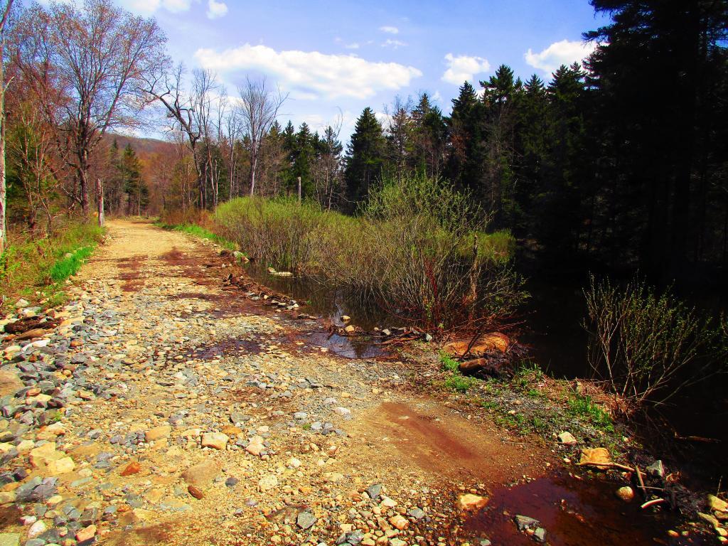 Photo: Robb Creek Road was damaged by beaver dam