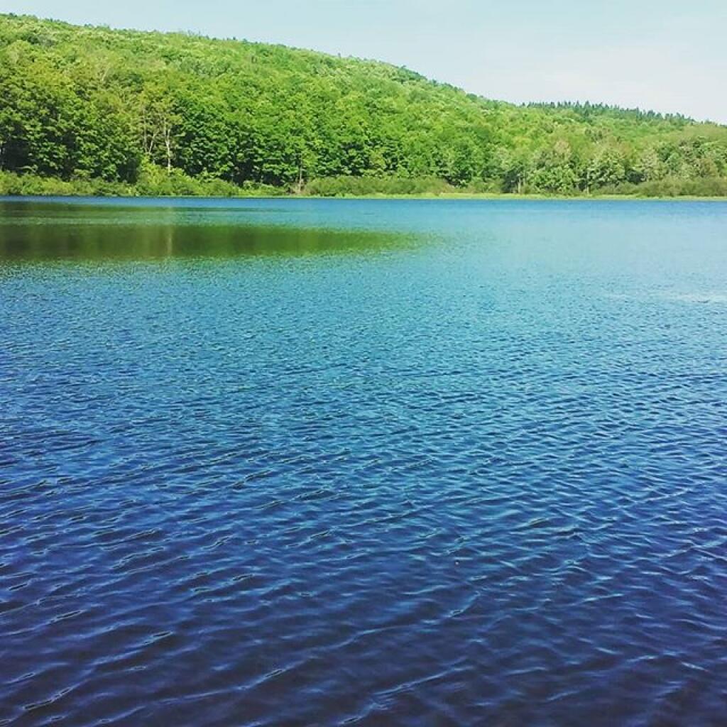 Photo: Beautiful morning at Fawn Lake Photo: Beautiful morning at Fawn Lake