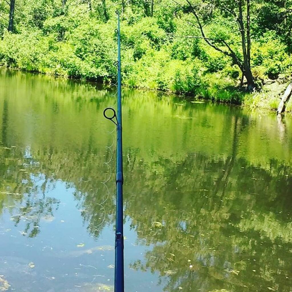 Photo: A little fishing in White Bird Pond