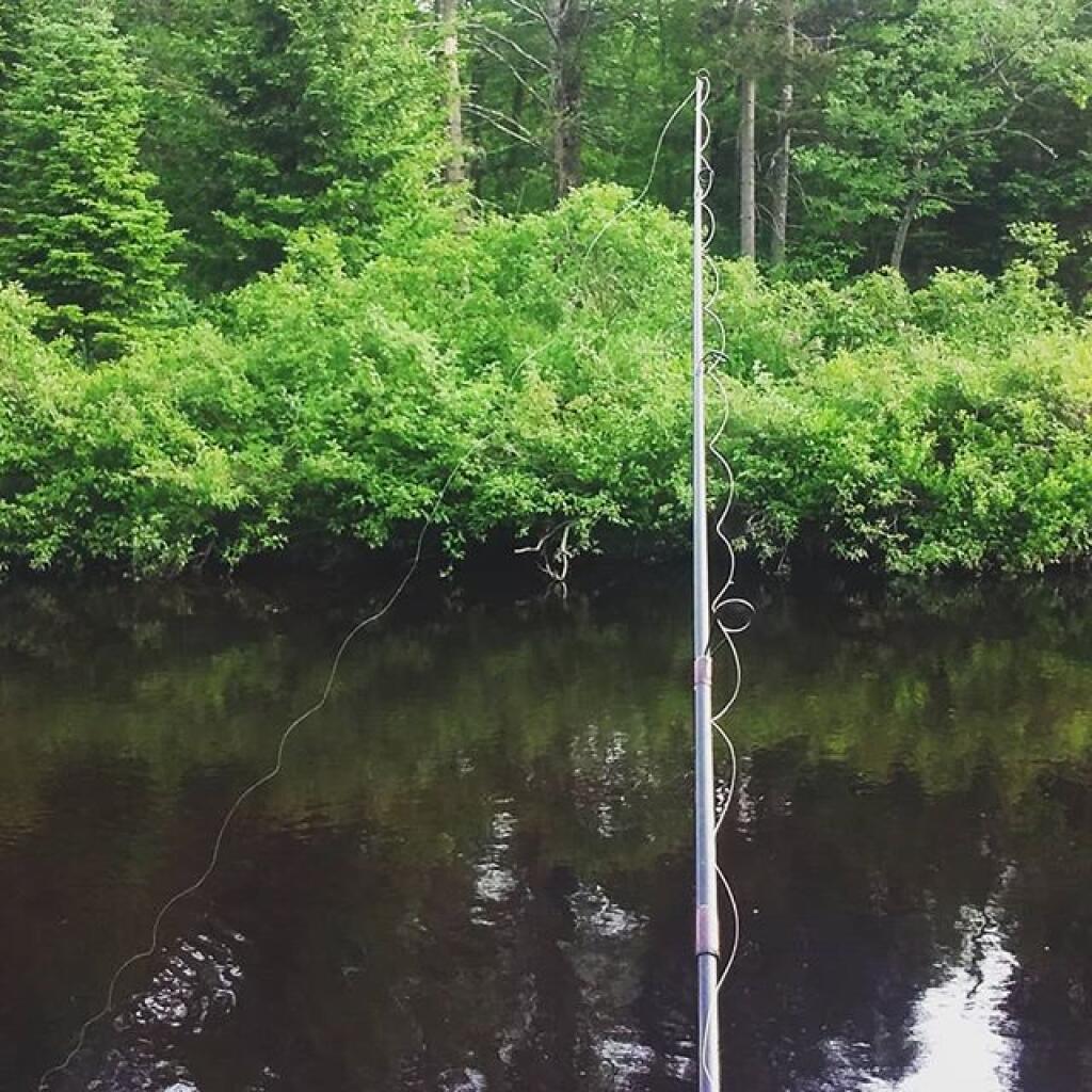 Photo: Shore fishing Jessup River