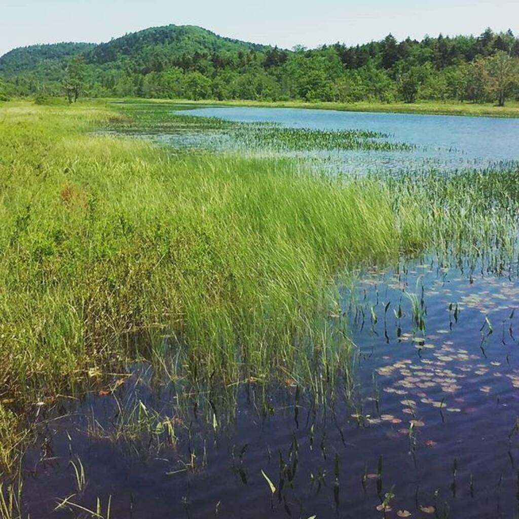 Photo: Kunjamunk Mountain Photo: Kunjamunk Mountain