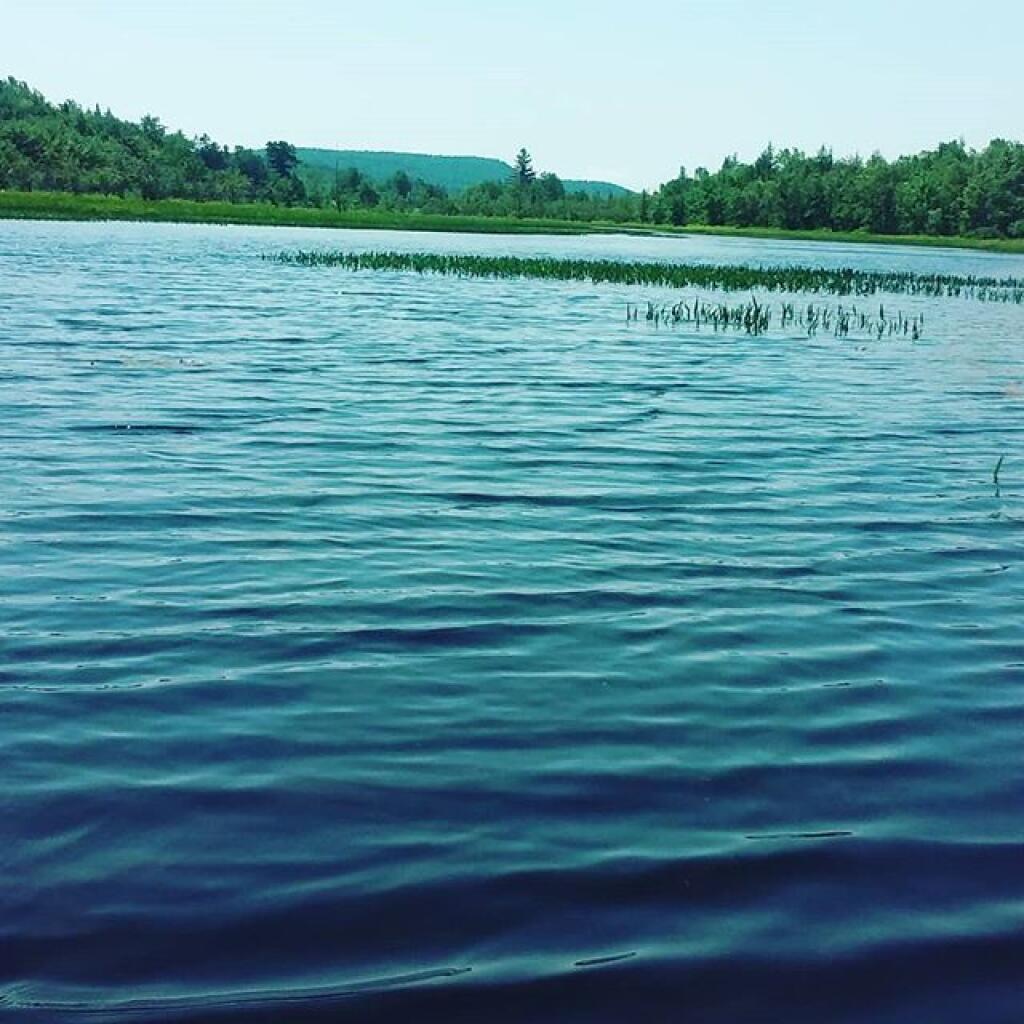 Photo: Sacandaga River towards Lake Pleasant
