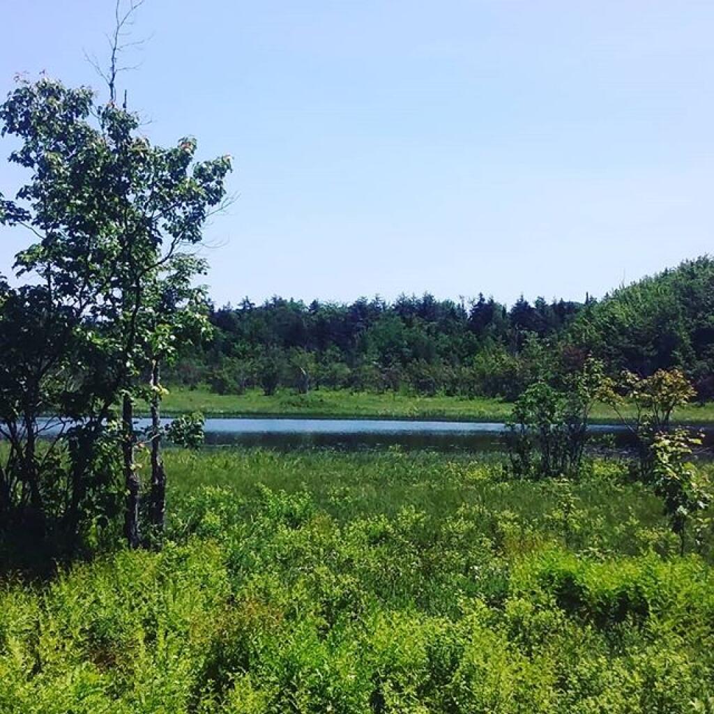 Photo: Sacandaga River Photo: Sacandaga River