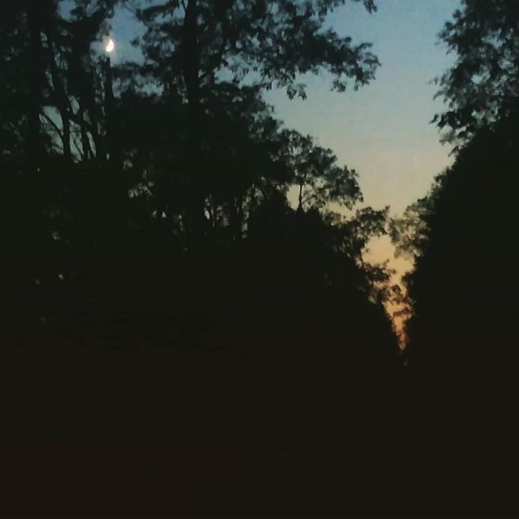 Photo: Dusk on Otter Brook Road