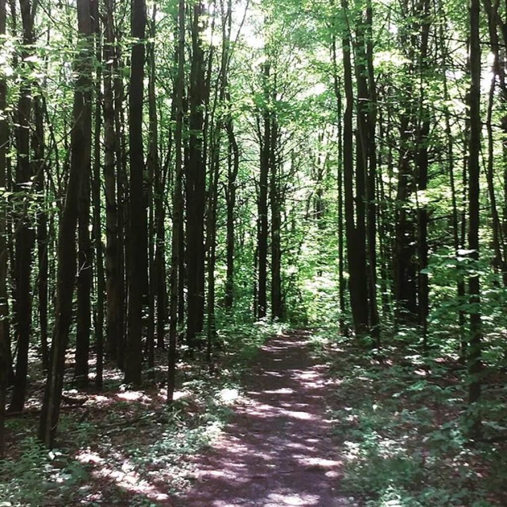 Photo: Interlaken Trail