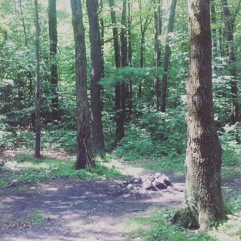 Photo: I could camp here tonight. Still chewing on it