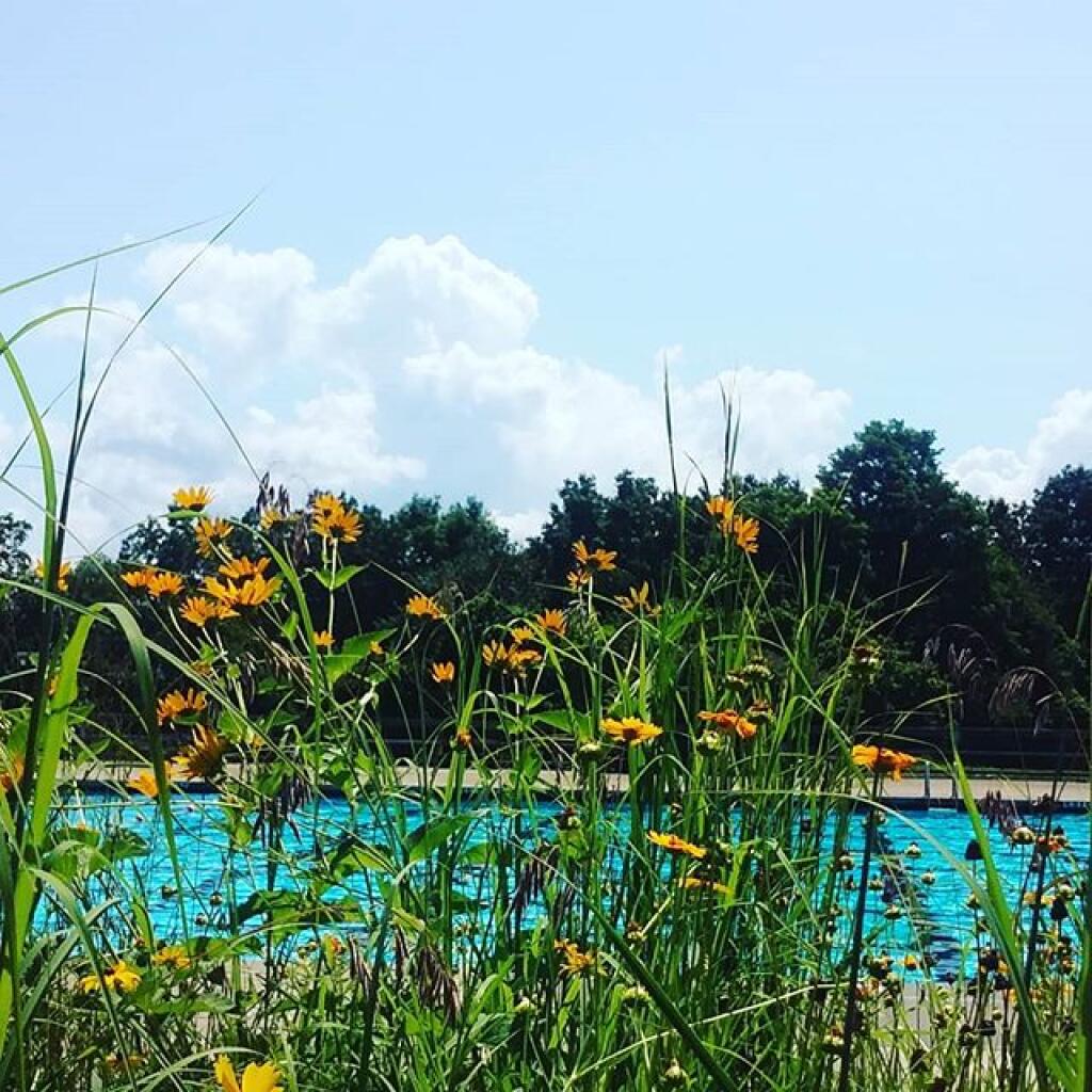 Photo: Definitely a nice day Photo: Definitely a nice day