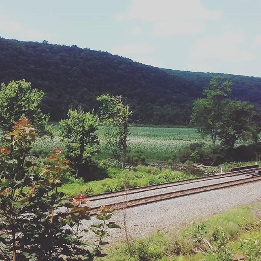 Photo: Headwaters of the Canasserga Creek Photo: Headwaters of the Canasserga Creek