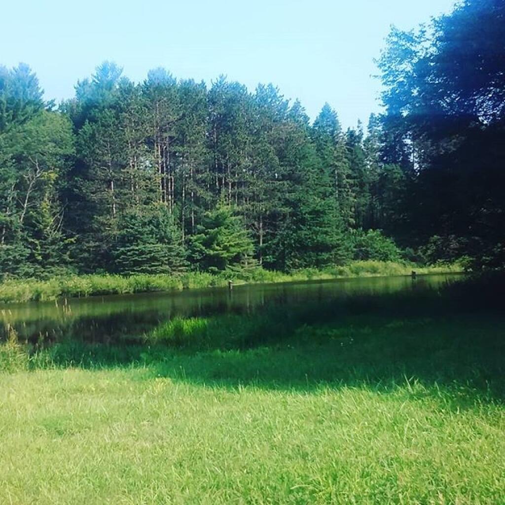 Photo: Pond