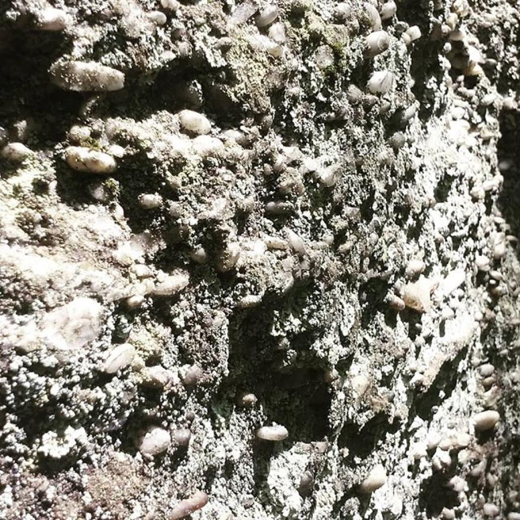 Photo: Marble pebbles and concrete