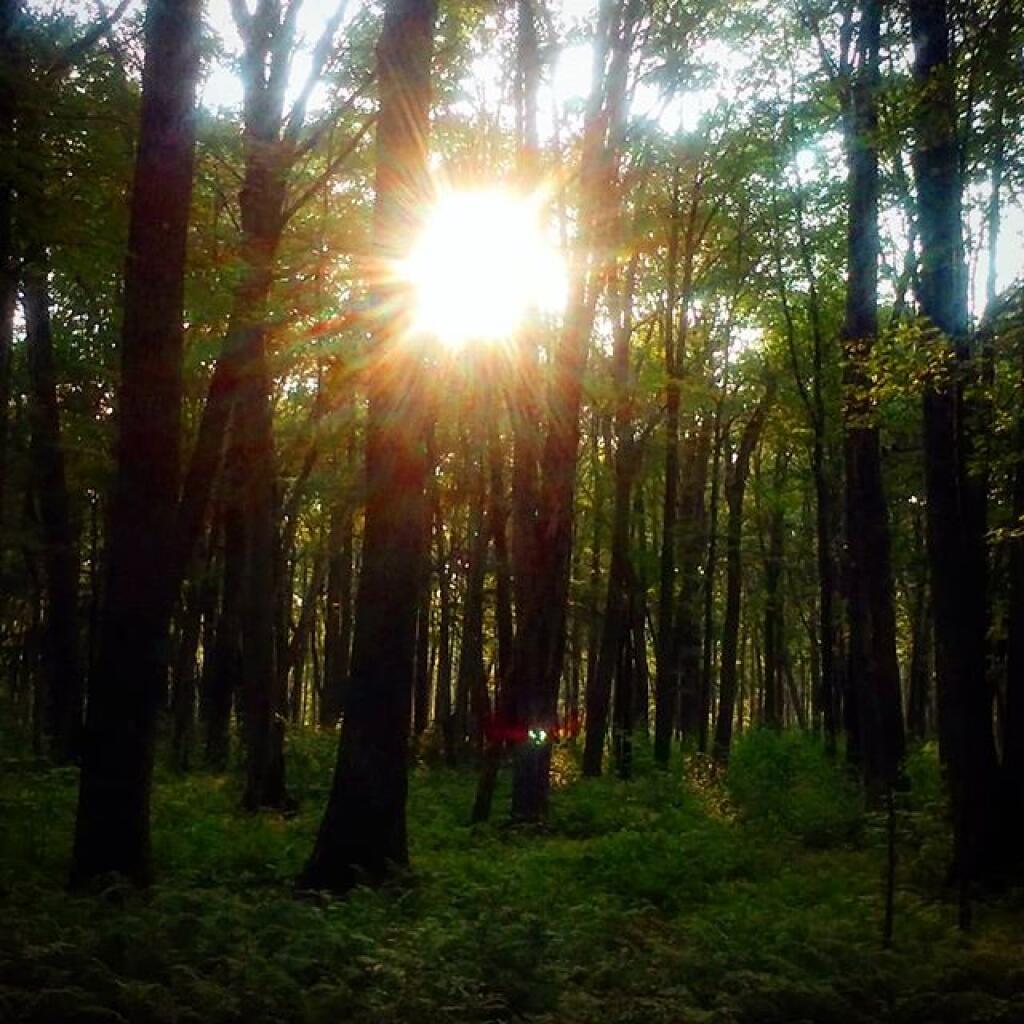 Photo: Allegheny Wilds Sunset