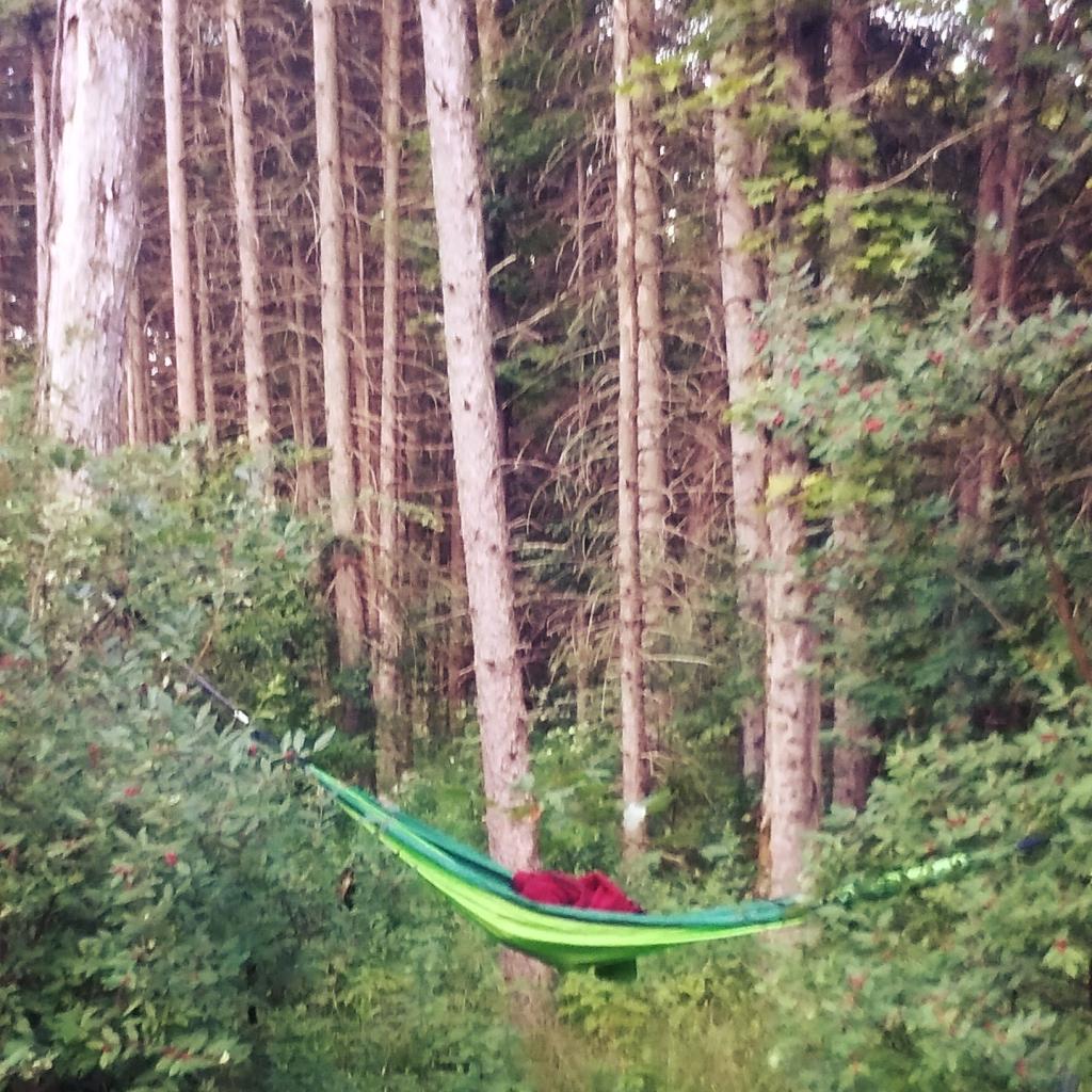 Photo: Hang out in the Klipnocky Woods
