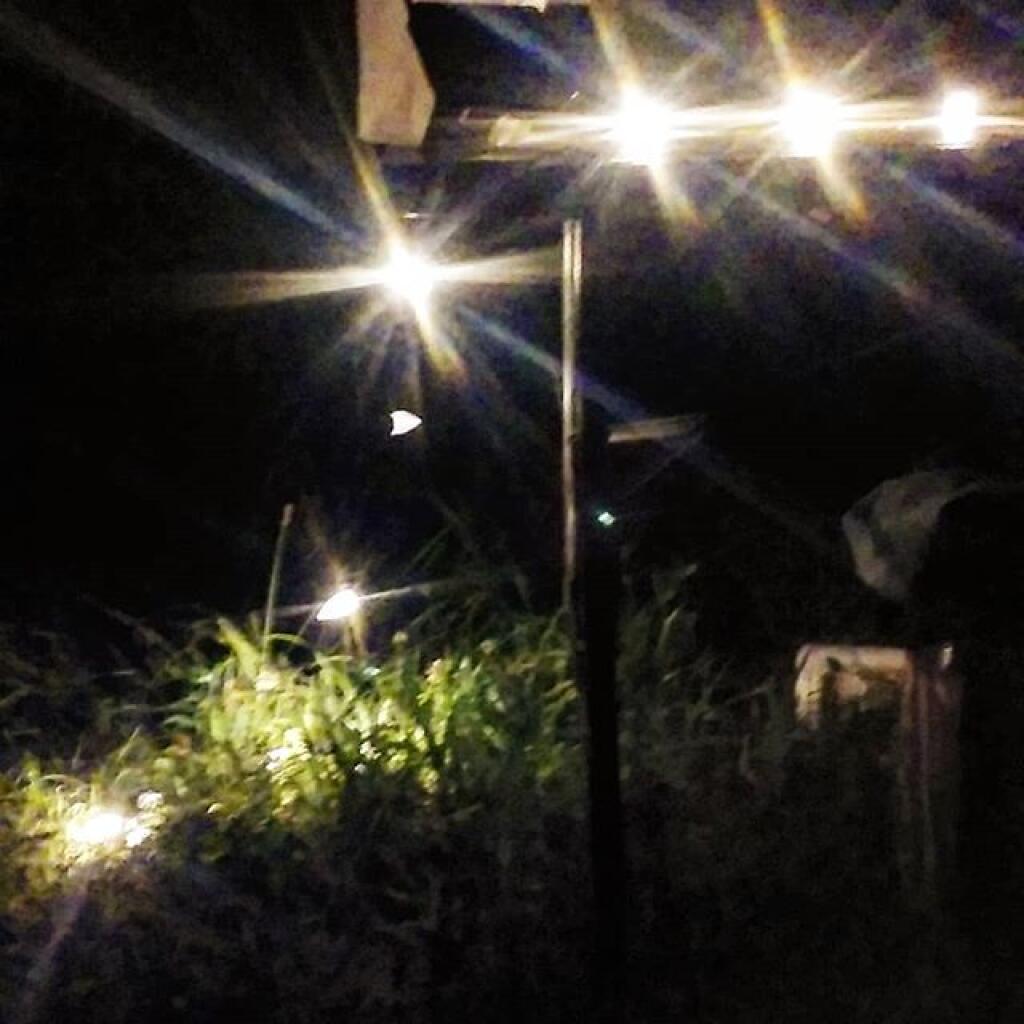 Photo: Lights