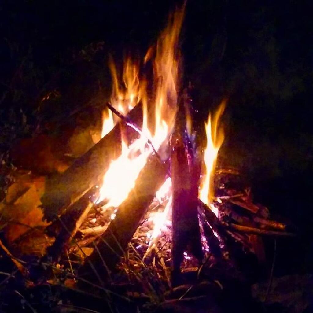 Photo: Last night