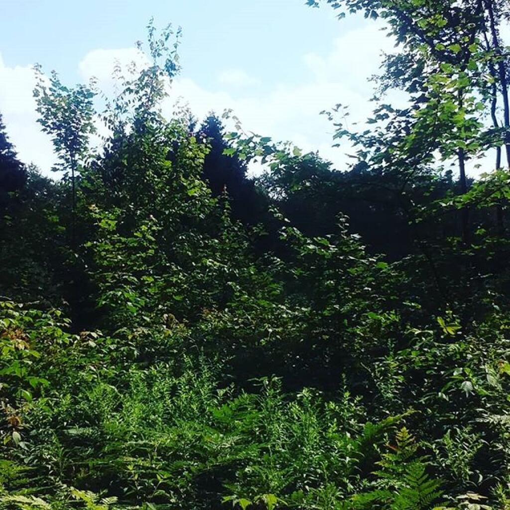 Photo: Timberdoodle Flats is interesting, never stopped before