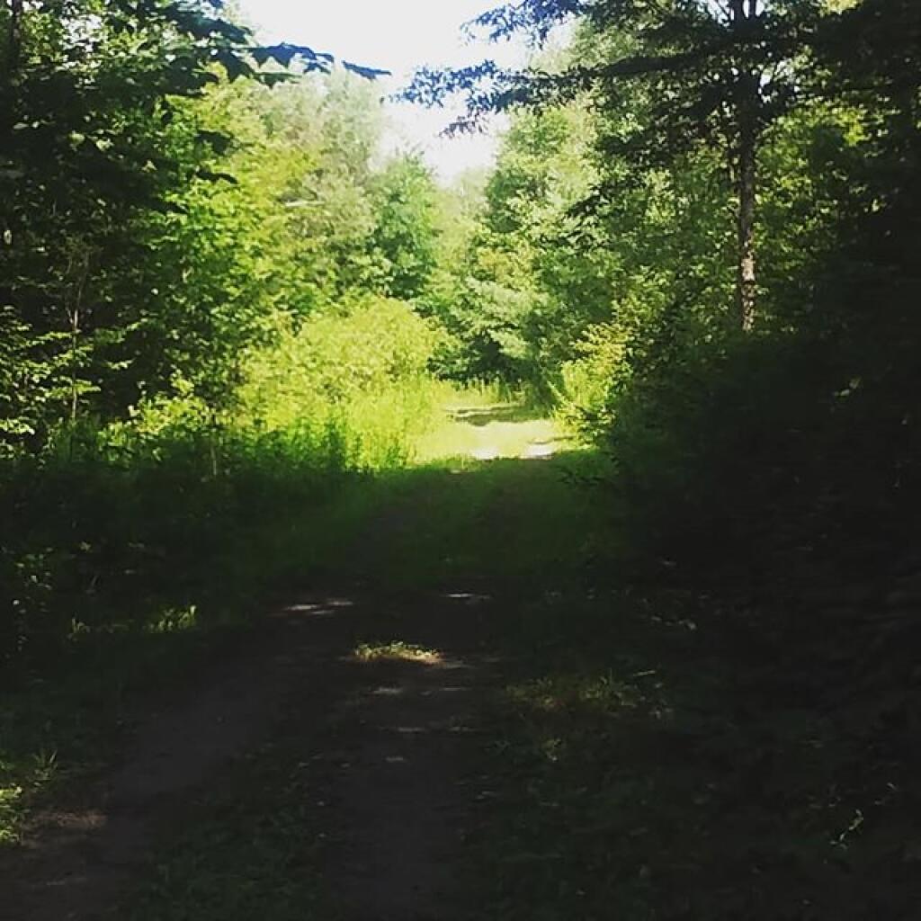Photo: Quiet walk at Timberdoodle Flats
