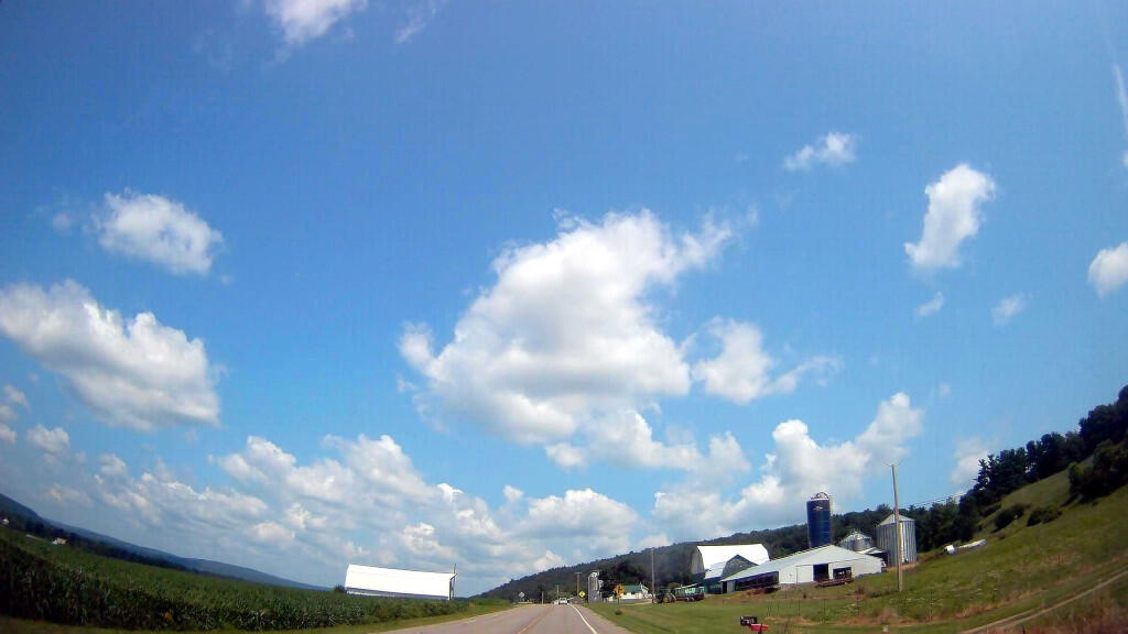 Photo: Arkport Farm