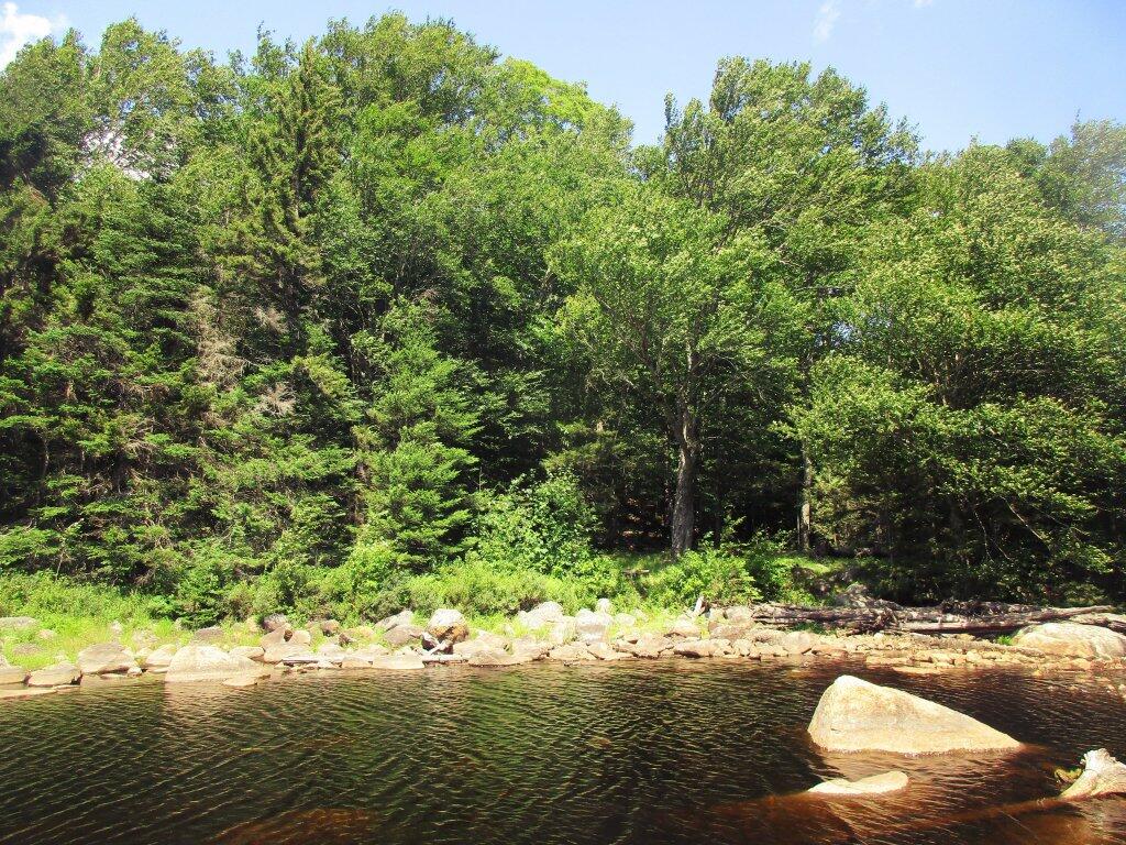 Photo: Big Alderbed Campsite