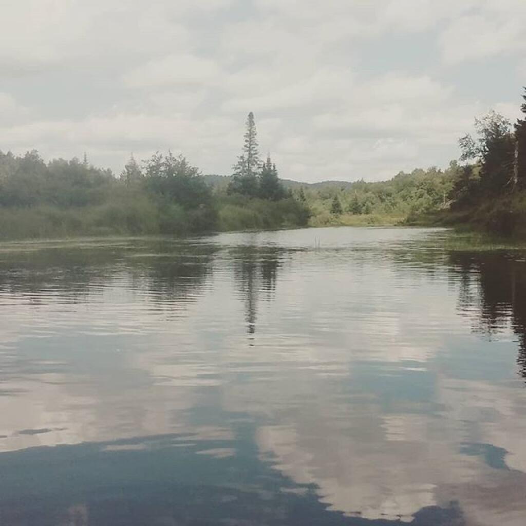 Photo: Also went for a paddle on the East Canada Creek