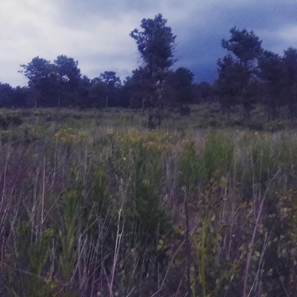 Photo: Stormy