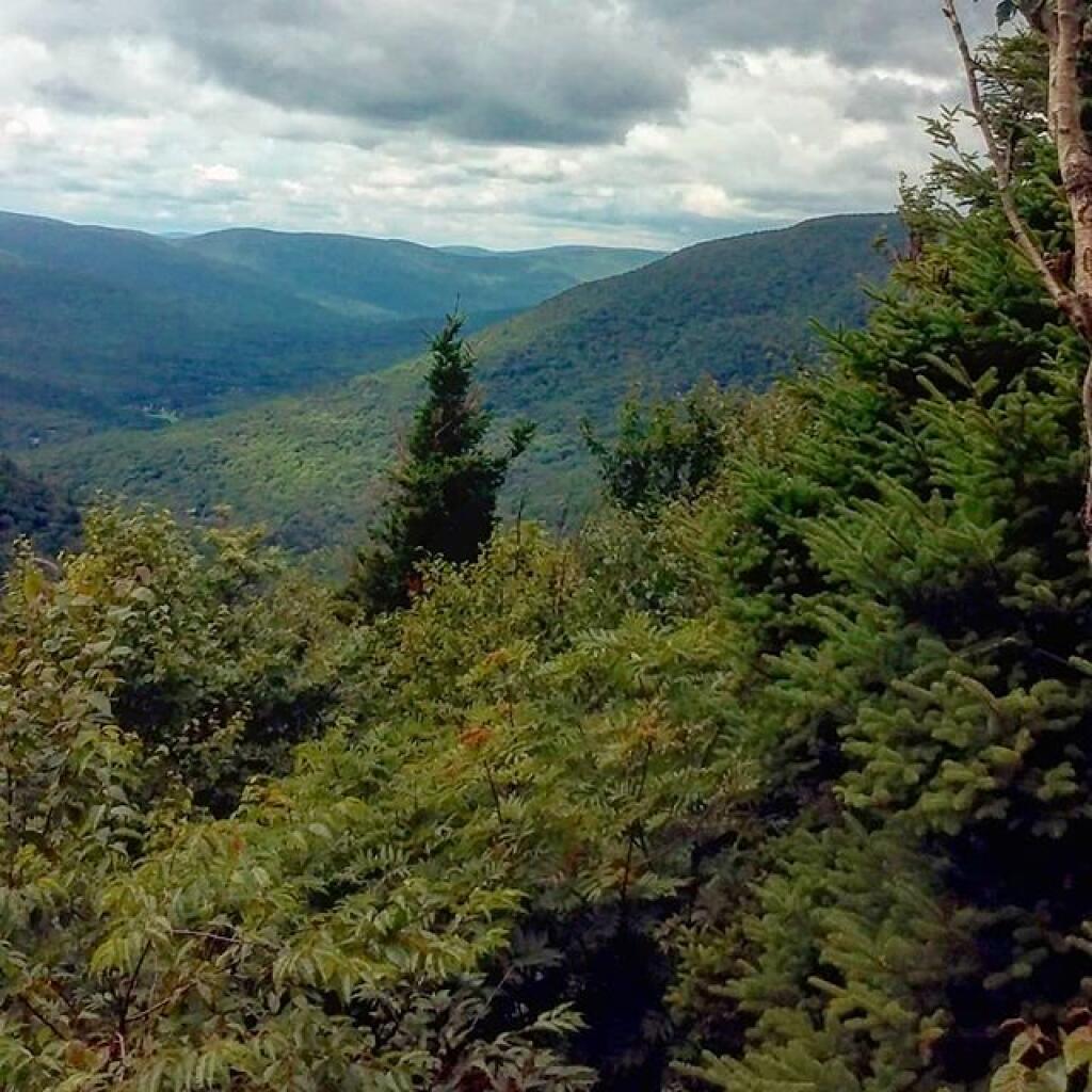 Photo: West Kill Valley