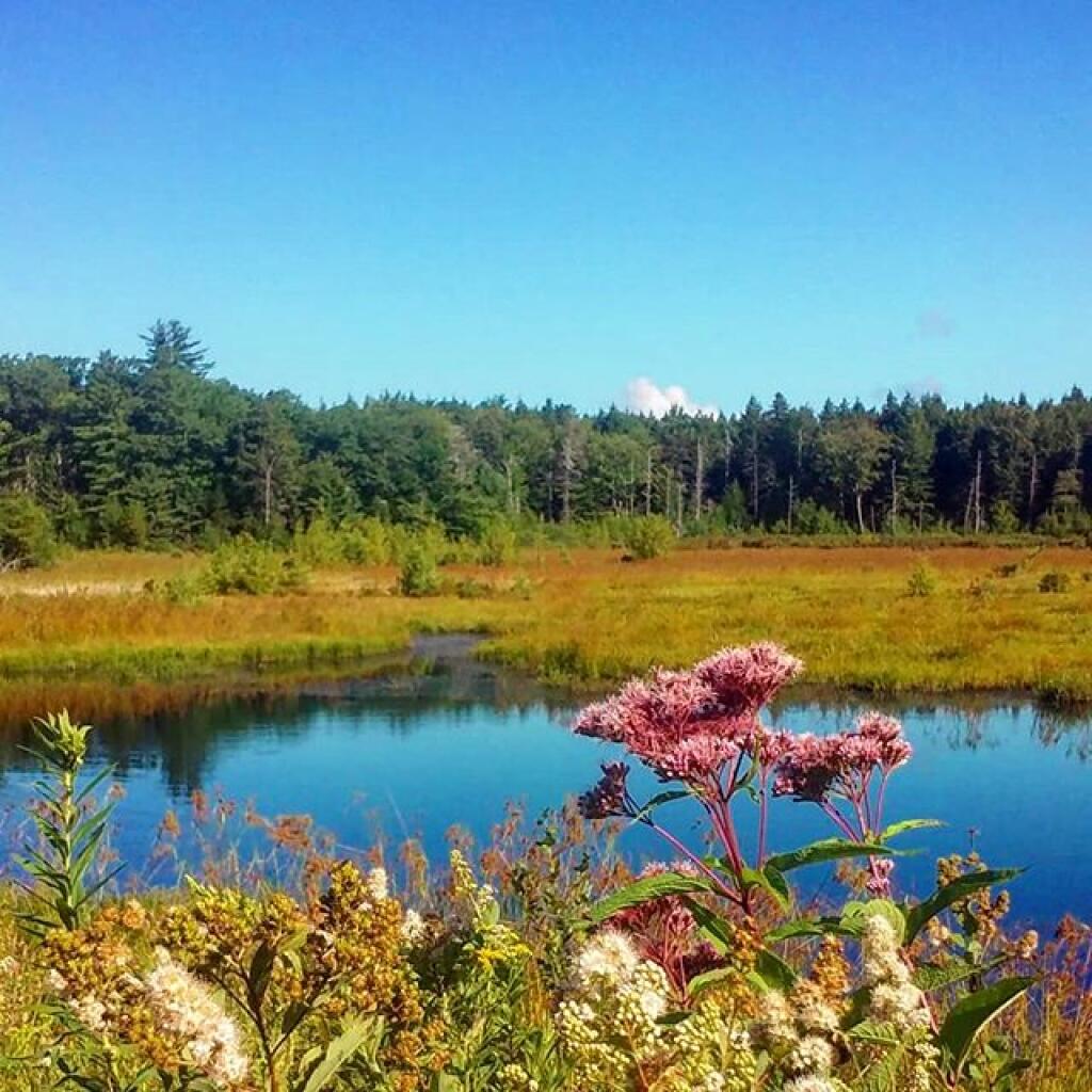 Photo: Stunningly beautiful autumn morning Photo: Stunningly beautiful autumn morning