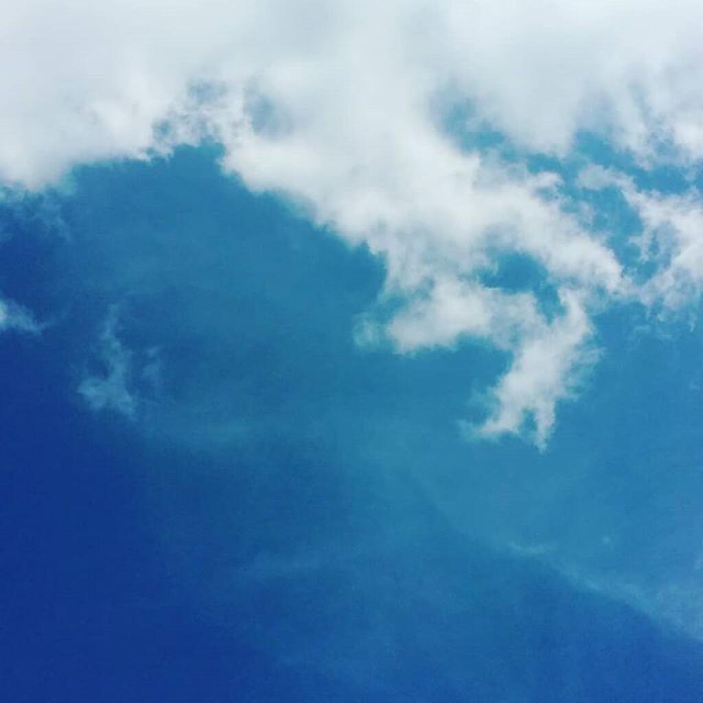 Photo: Cloud watcher