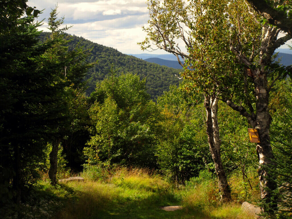 Photo: Along The Spruceton Horse Trail