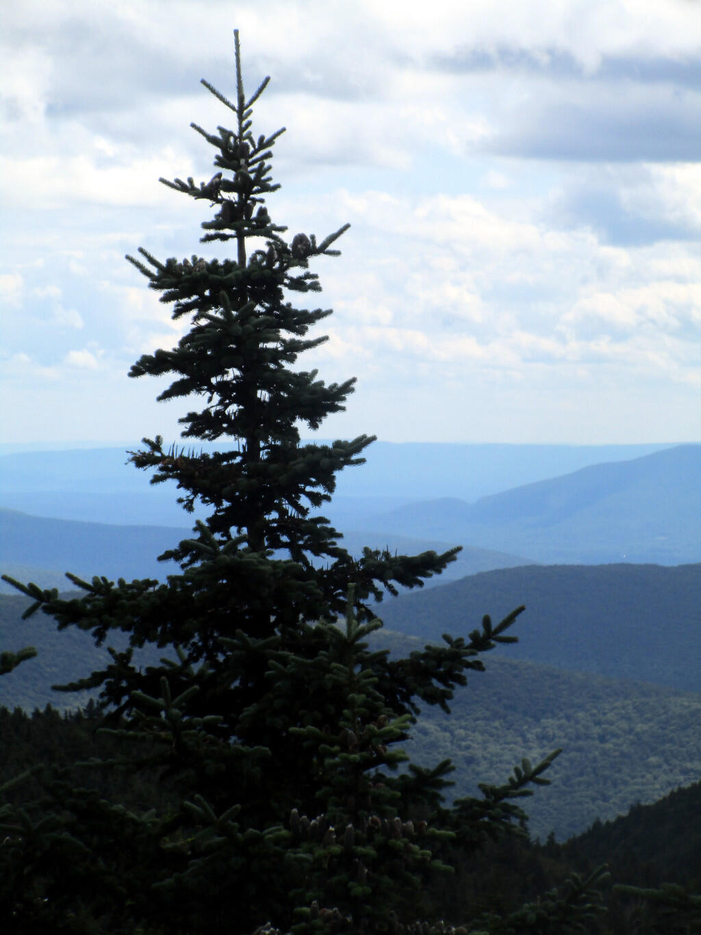 Photo: South From The Overlook Photo: South From The Overlook