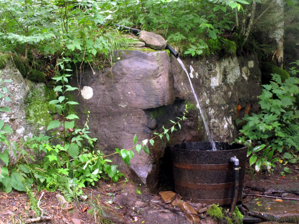 Photo: Water Bucket