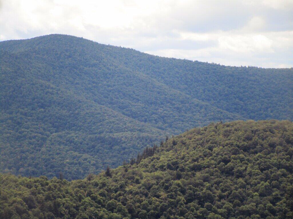 Photo: West Kill Mountain