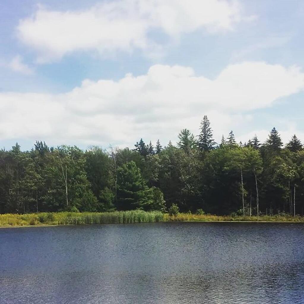 Photo: Looking Glass Pond