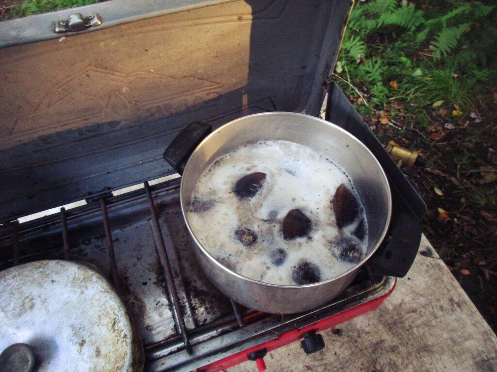 Photo: Cooking Clams Photo: Cooking Clams