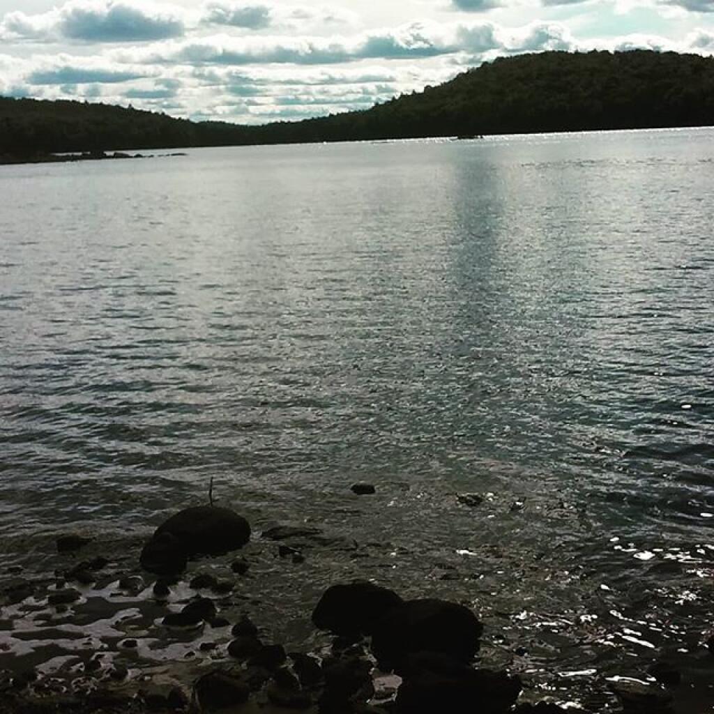 Photo: Cedar Lake Photo: Cedar Lake