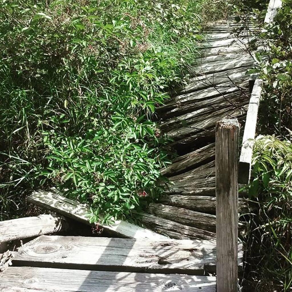 Photo: Bridge has seen better days Photo: Bridge has seen better days