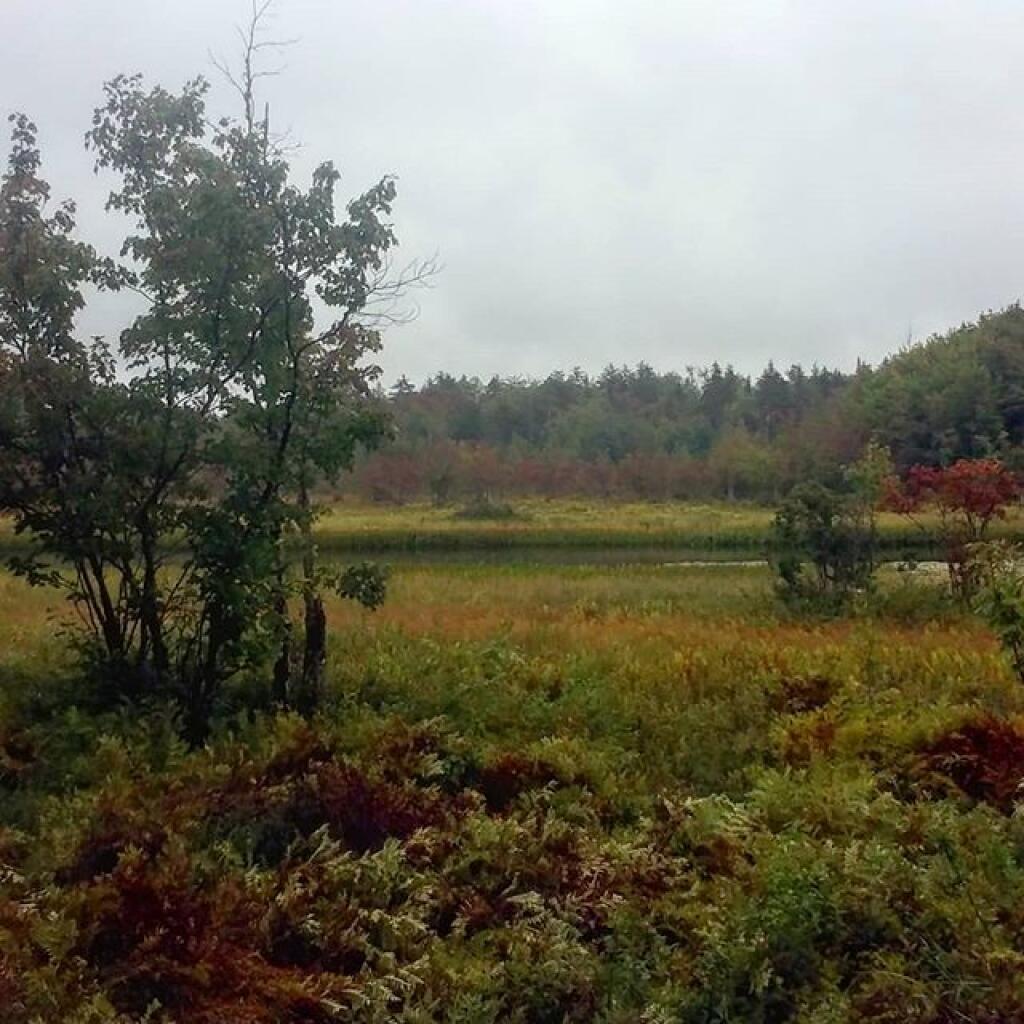 Photo: Rainy day on the Sacanadaga Photo: Rainy day on the Sacanadaga