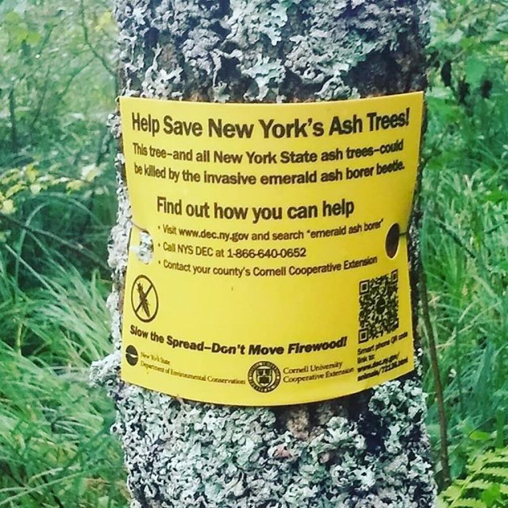 Photo: A little bit late, eh? Photo: A little bit late, eh?