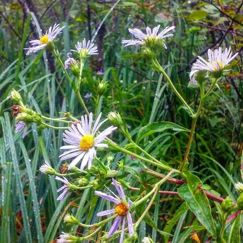 Photo: Color on a rainy day Photo: Color on a rainy day