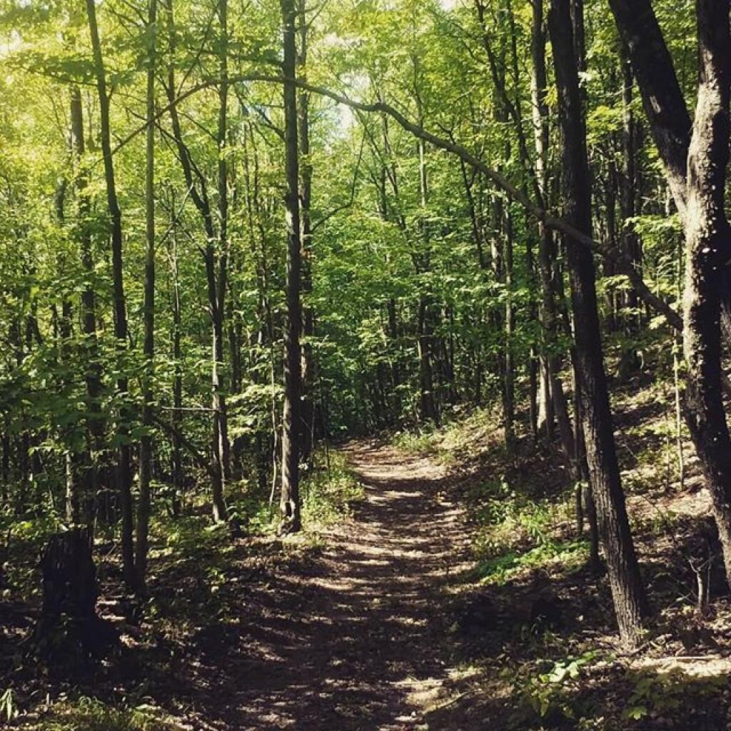 Photo: A nice day for a hike