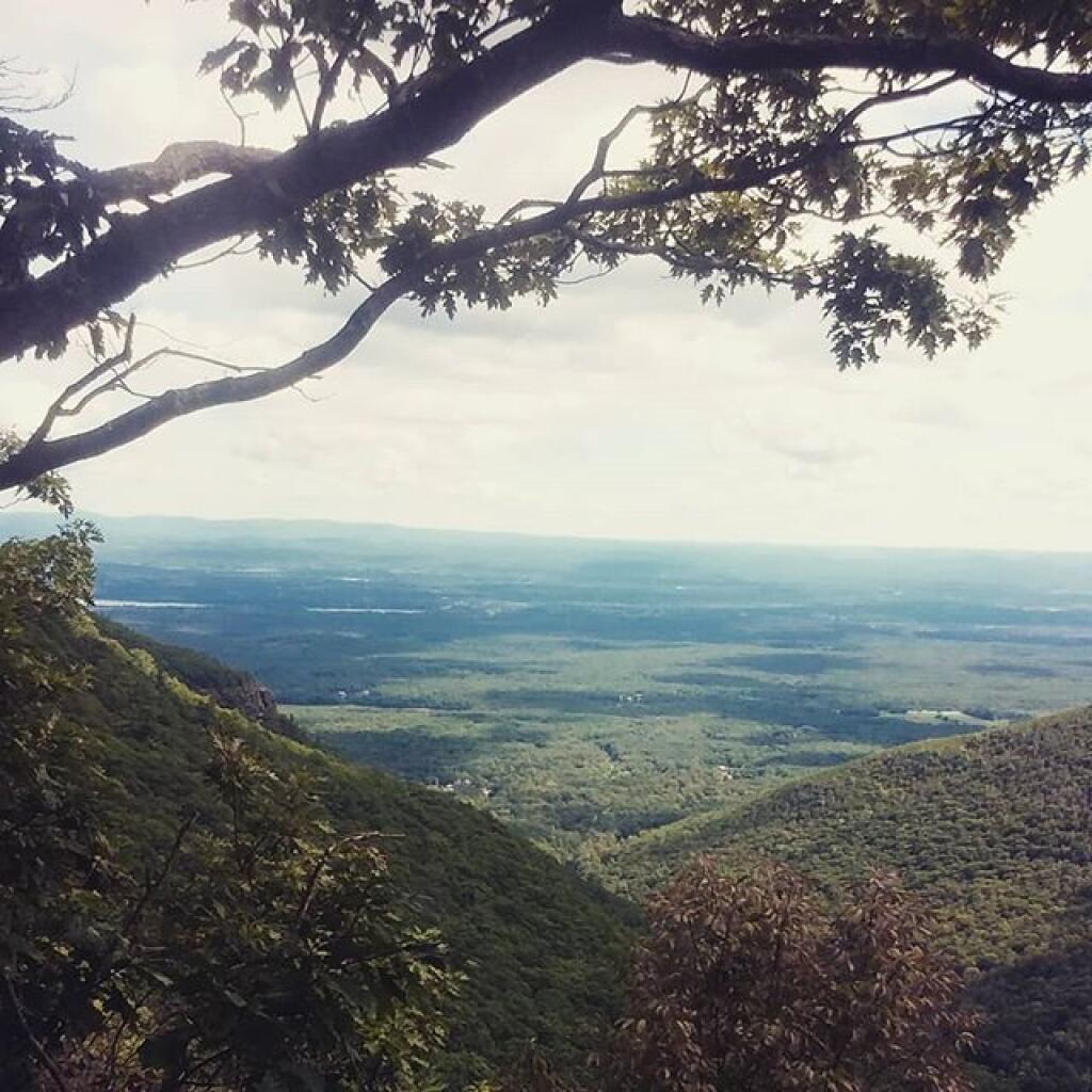 Photo: Towards Palenville