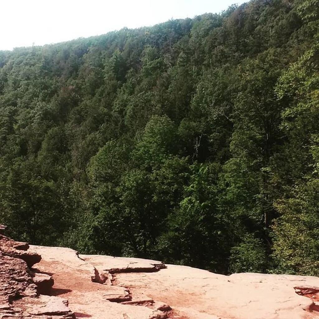 Photo: Gorge