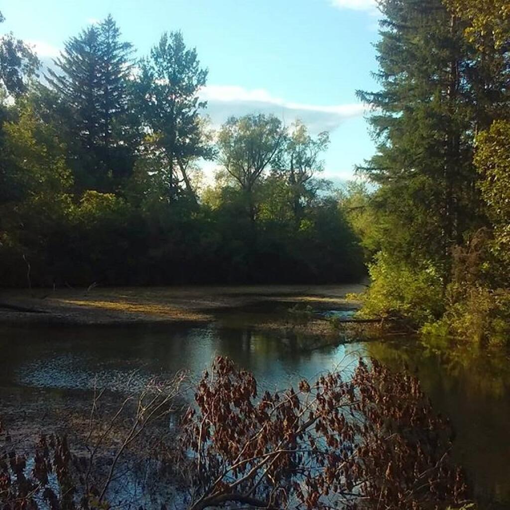 Photo: Pond