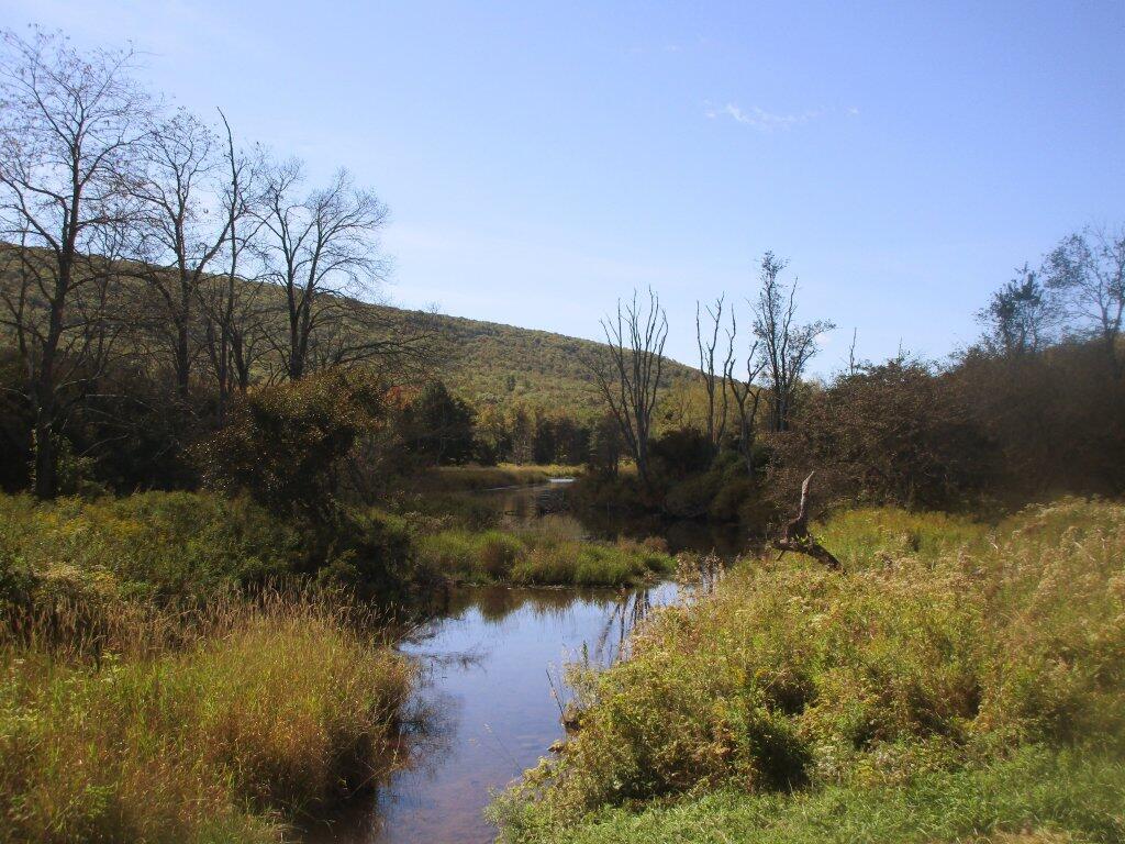 Photo: Headwaters Of The Batavia Kill Photo: Headwaters Of The Batavia Kill