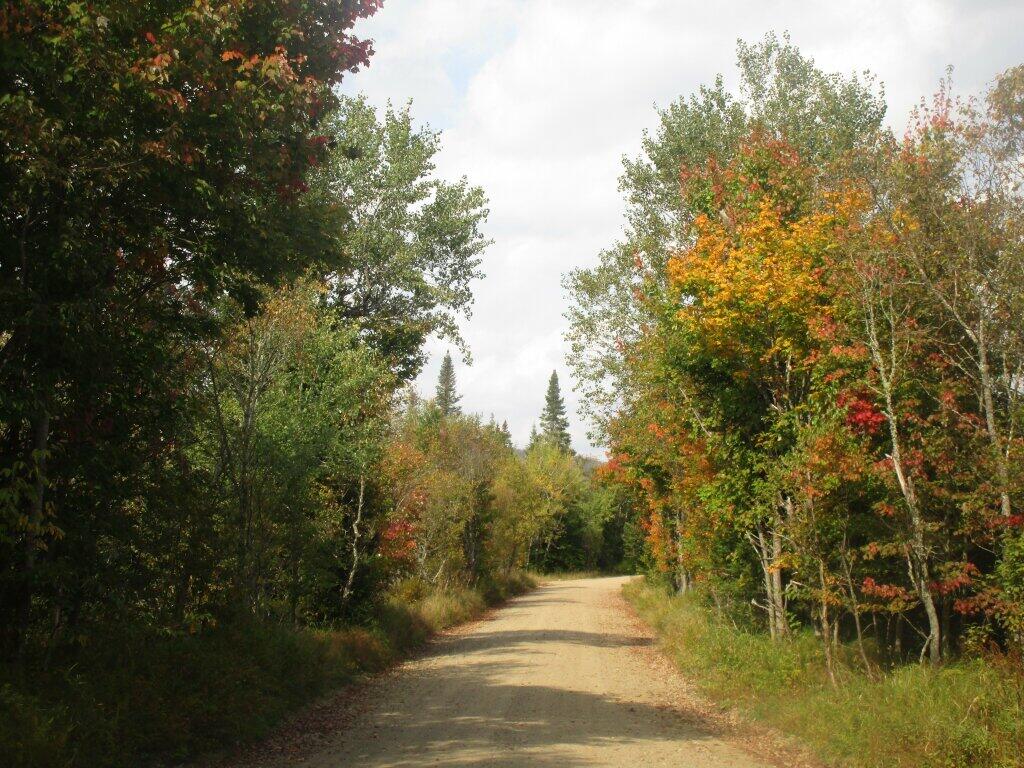Photo: Powley Place In Autumn Photo: Powley Place In Autumn