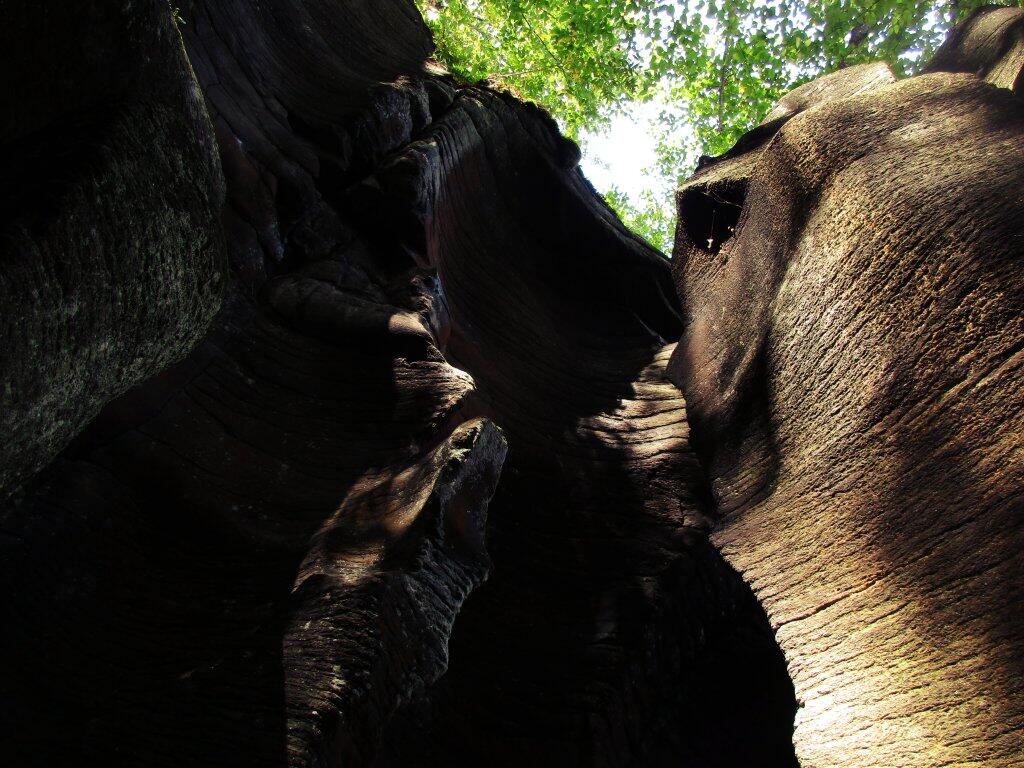 Photo: Carved