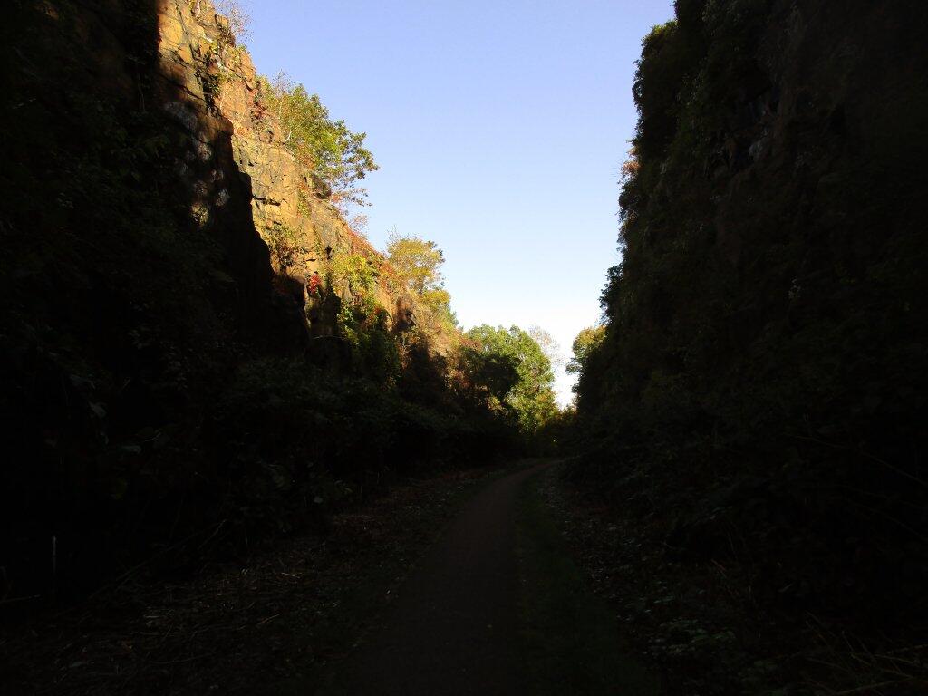 Photo: Deep In The Old Railroad Grade