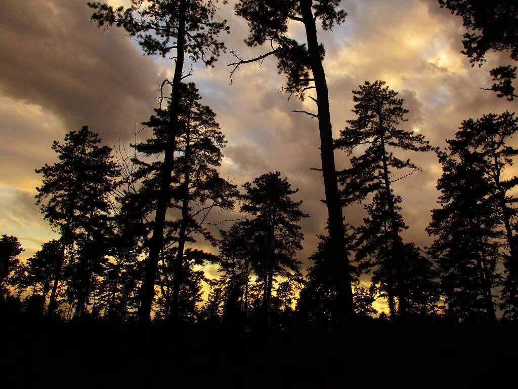 Photo: Almost Dusk Photo: Almost Dusk